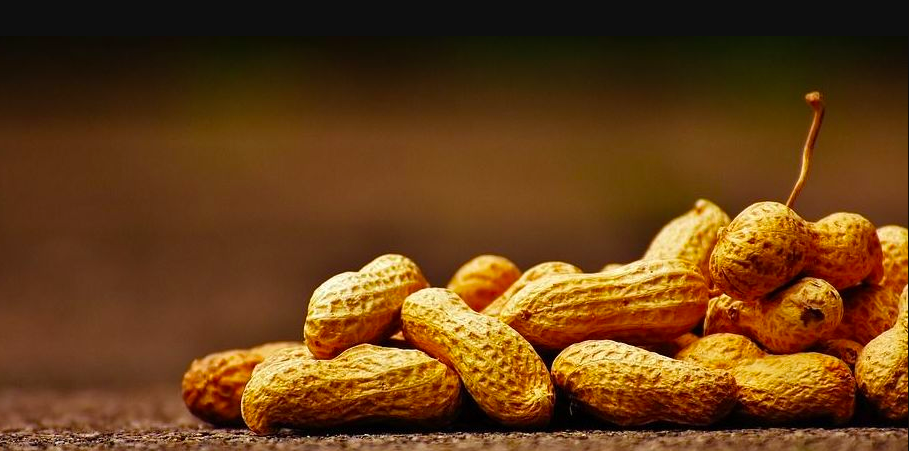 Peanut allergy in children -immunotherapy a promising treatment