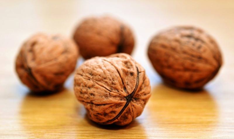 Appetite – walnuts